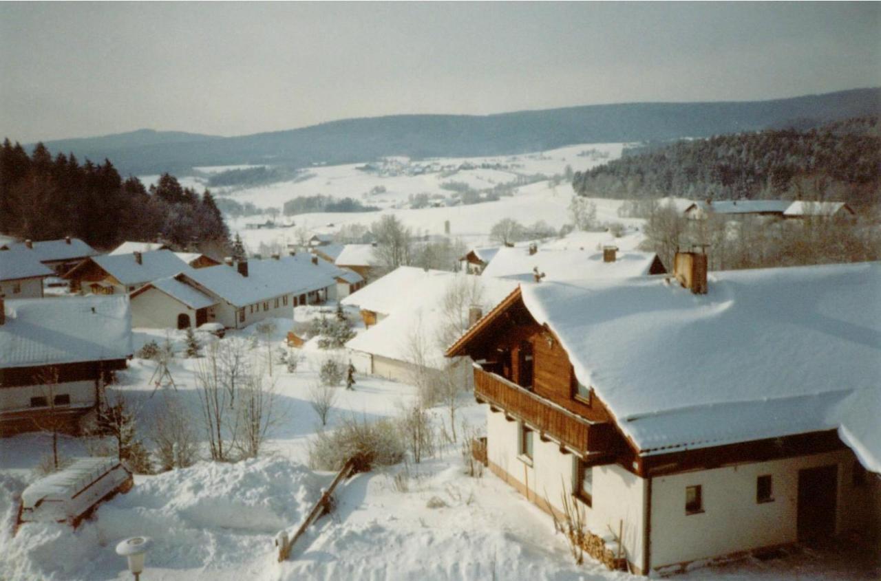 Fewo Mit Malerischem Bergblick Im Bischofsmais Exterior photo