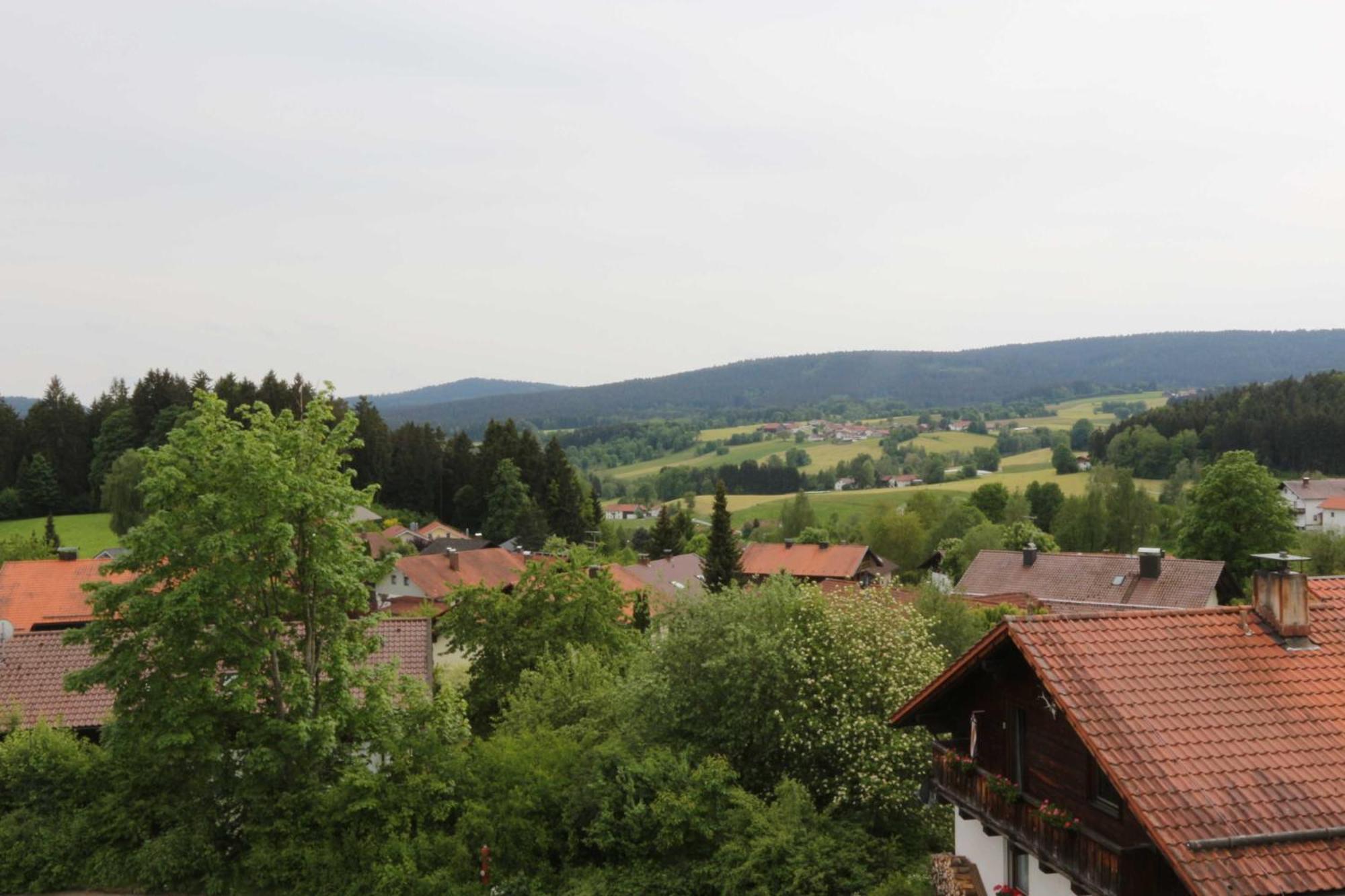 Fewo Mit Malerischem Bergblick Im Bischofsmais Exterior photo