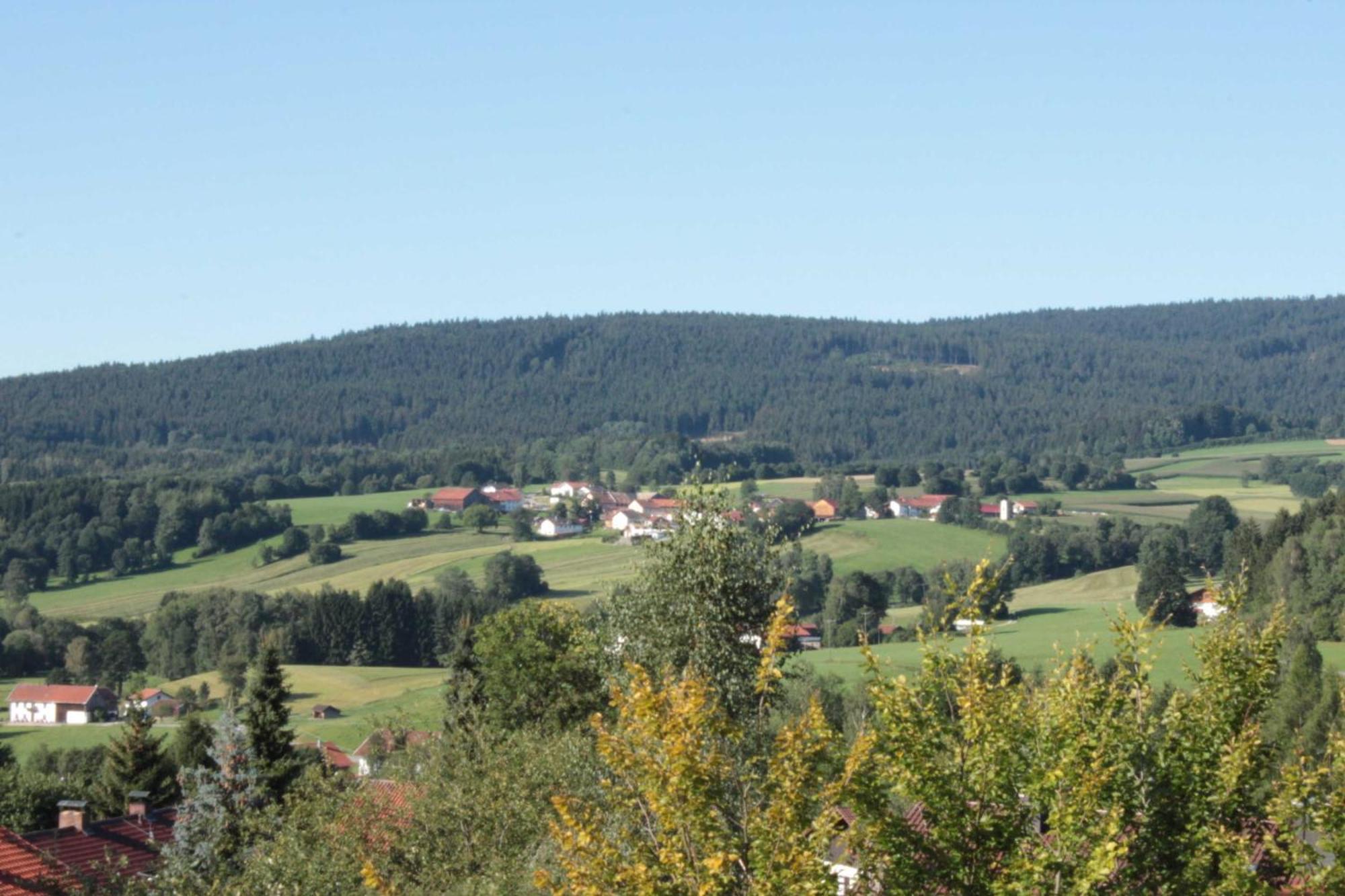 Fewo Mit Malerischem Bergblick Im Bischofsmais Exterior photo