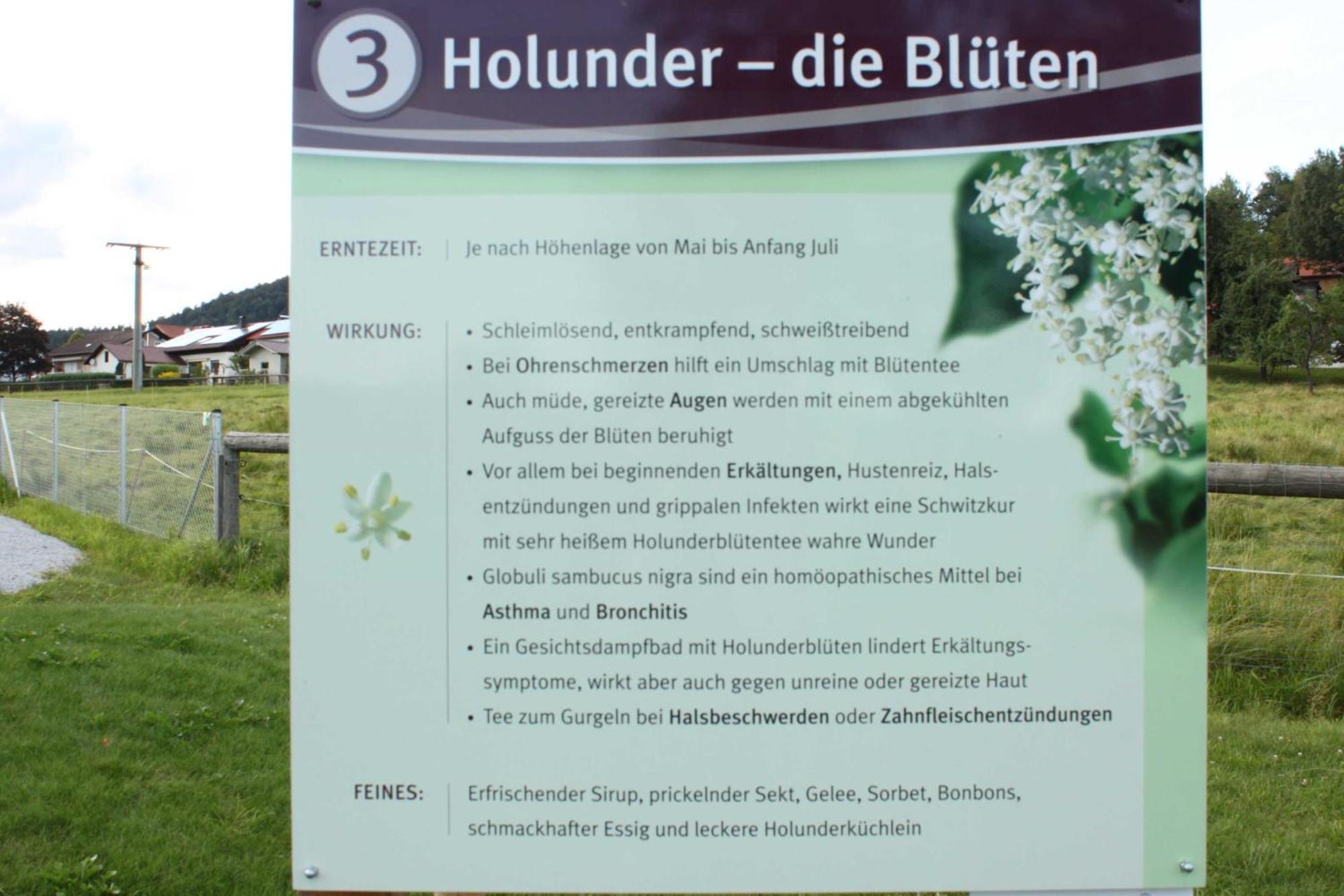 Fewo Mit Malerischem Bergblick Im Bischofsmais Exterior photo