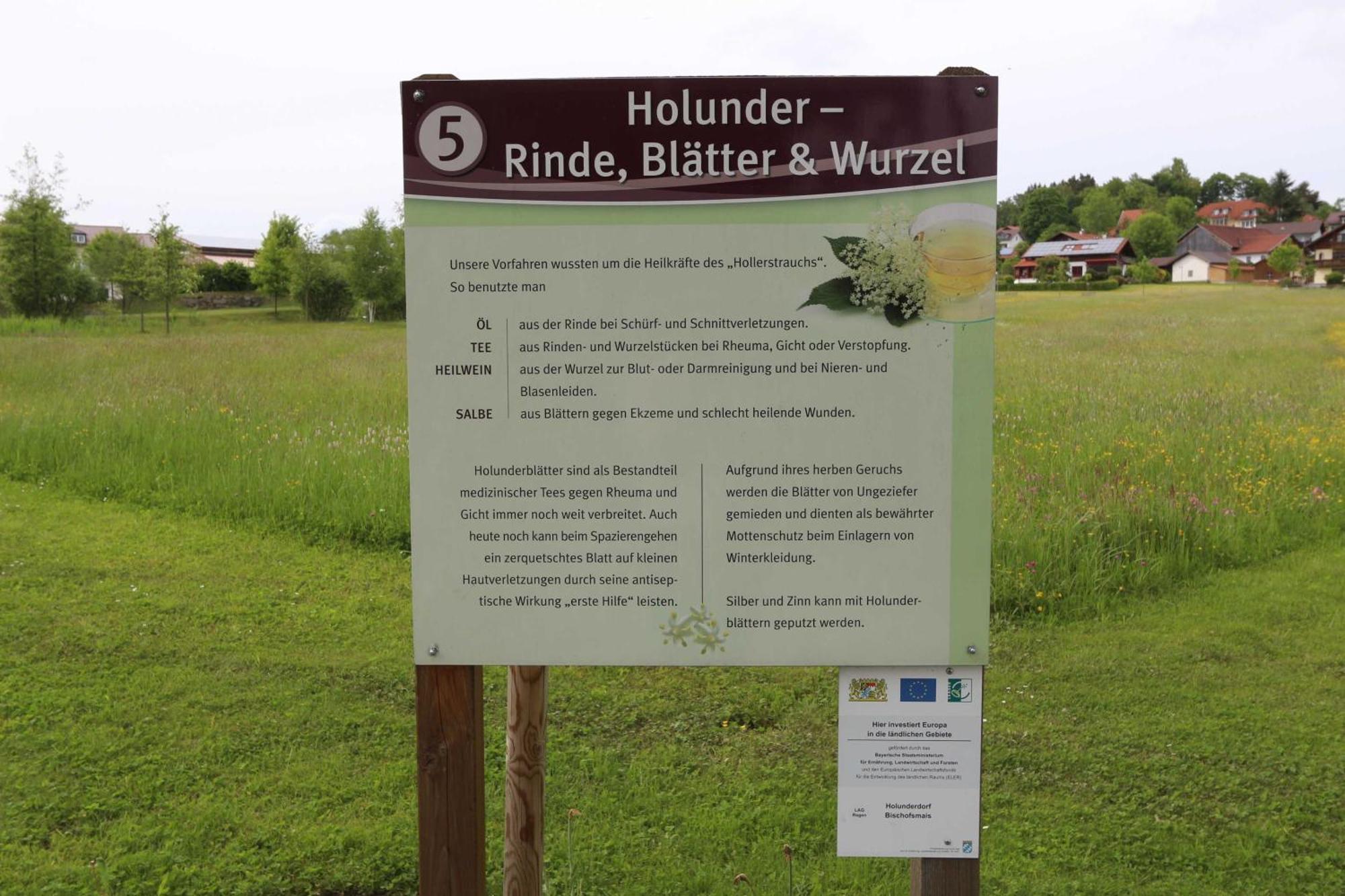 Fewo Mit Malerischem Bergblick Im Bischofsmais Exterior photo