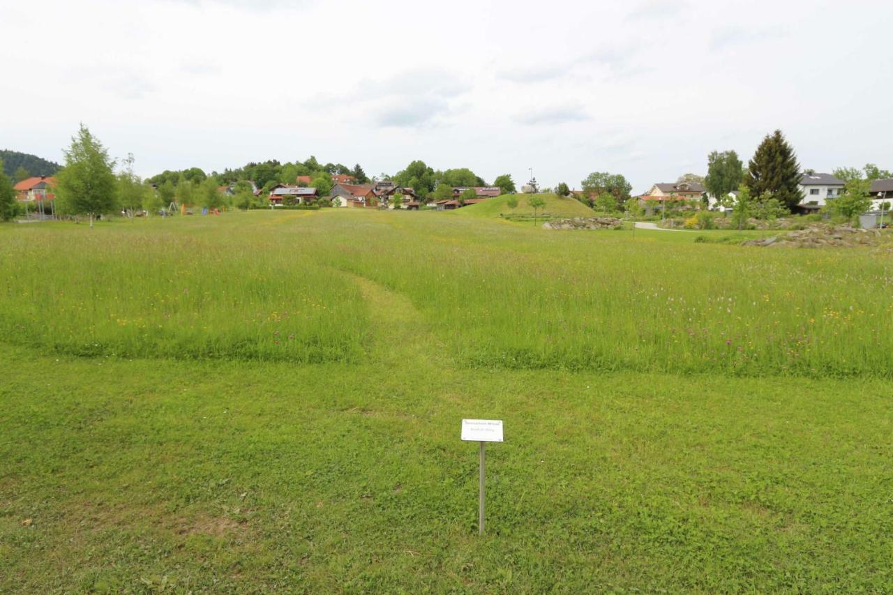 Fewo Mit Malerischem Bergblick Im Bischofsmais Exterior photo